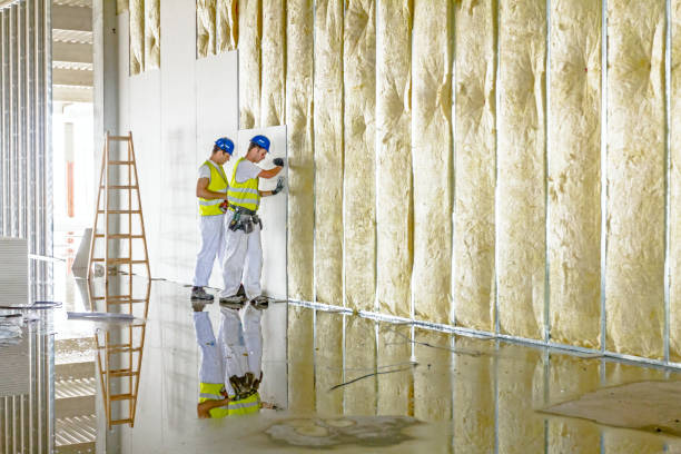 Best Eco-Friendly or Green Insulation Solutions  in Mequon, WI